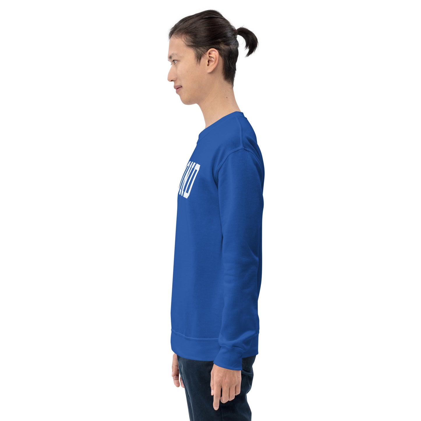 Collegiate Charm crewneck sweatshirt - adult